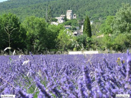 Le Mas Des Restanques au Poët Laval gîte à louer Le Poët-Laval