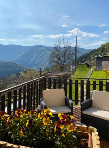 I profumi del bosco in Enego
