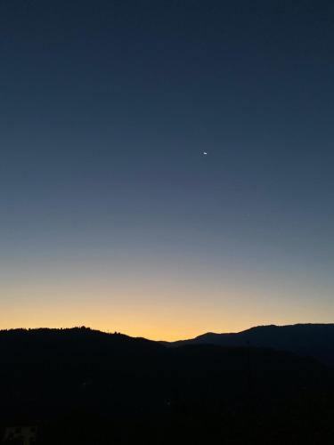 I profumi del bosco in Enego