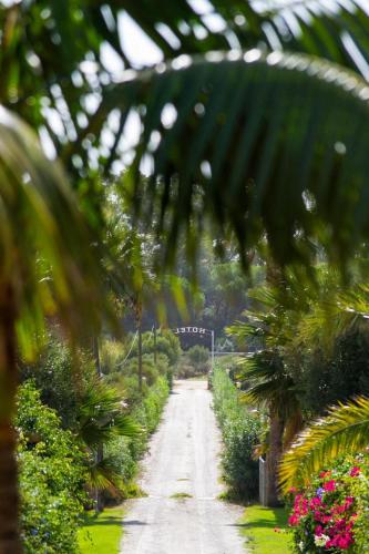 Hotel La Peña - image 5