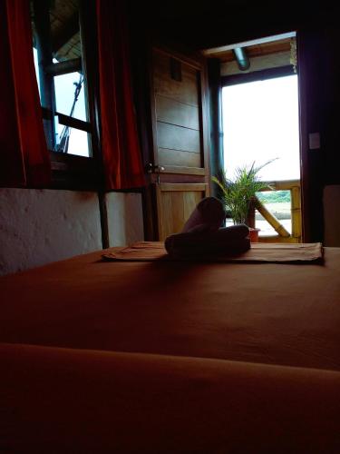 View, Hostal Yemaya Mompiche in Mompiche