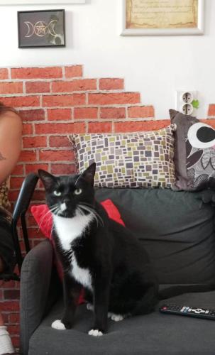 Hostel El Diablo – Belgrade, NY