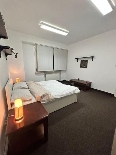 Ultra-Central Spacious Apartment Near Old Town