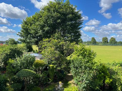 Unique 2 bedroom Flat in Heart of Walthamstow - image 10