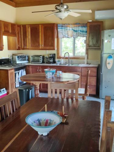 bolera, Palm & Pelican in Maya Beach