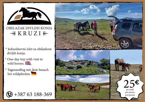 Apartmani Baljak - main image