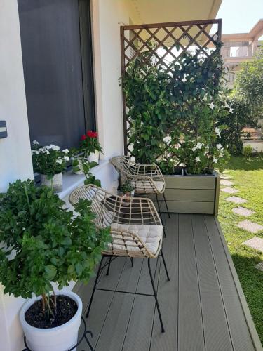 studio yannis leonidas in Mpournias