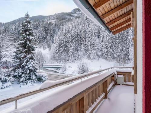 景觀, Neva Saalbach in 薩爾巴赫