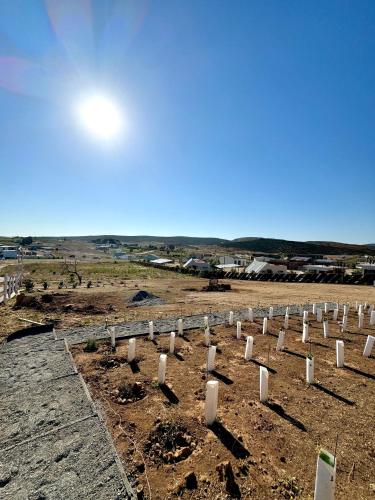 Kert, Finca la Bella in Ensenada