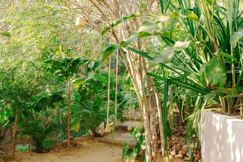 Monte Uzulu Boutique Hotel