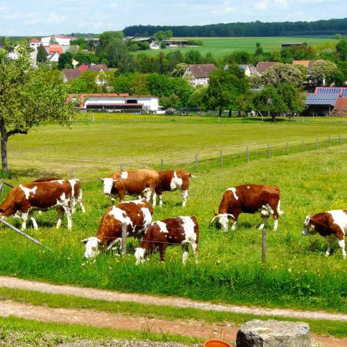 Landhaus Hohenlohe in Rot am See, Deutschland