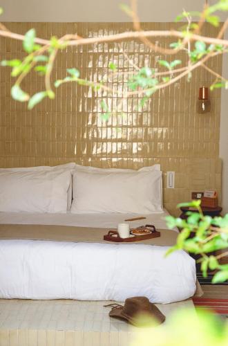 Hotel Casa Cuenca in Mexico City, Mexico