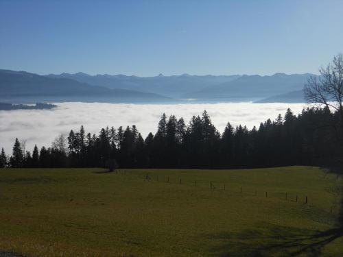 Ferienbauernhof Roth - image 4