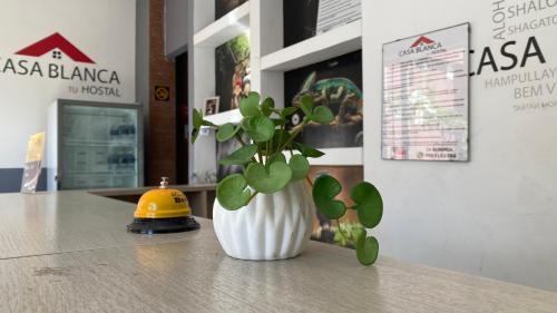 Hostal Casa Blanca in Coca