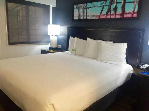 Queen Room with Roll-In Shower - Disability Access