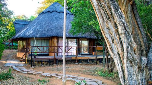 Hippo Paradise Lodge and Campsites in Kariba
