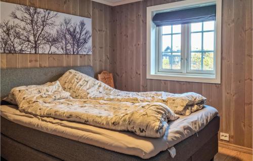 Stunning Home In Hovden I Setesdal