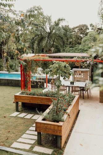 Mata e' Platano Guesthouse - image 2
