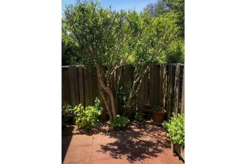 Walk To Beach - Bright, Pond-Facing 2BR Leisurama in Montauk, USA