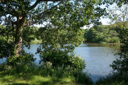 Walk To Beach - Bright, Pond-Facing 2BR Leisurama in Montauk, USA