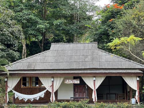 Exterior view, LEEHU Coffee Farm in Mae Suai / Wiang Pa Pao