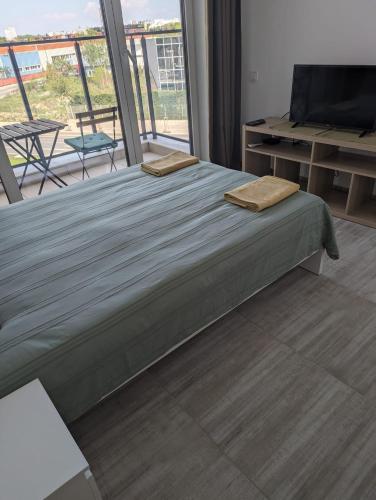 Reina Apartment- next to Sofia zoo and close to Mall Paradise, Sofia (zdjęcie 9)