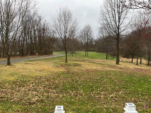 Surrounding environment, Auburn in Newell (WV)