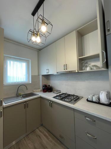 Comfort & Luxury Apartaments PNMresidence, Timişoara (photo 6)