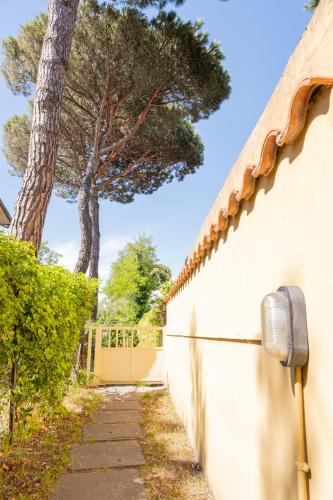Welcomely - Tirrenia Fronte Mare - Tap to explore photos