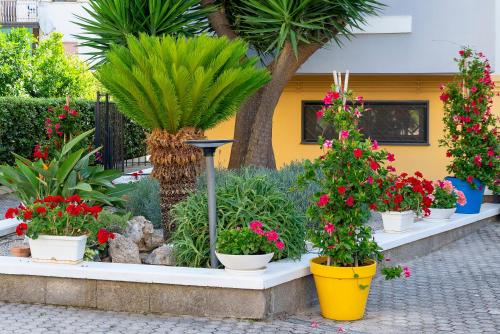 Marlè – Agropoli, UT