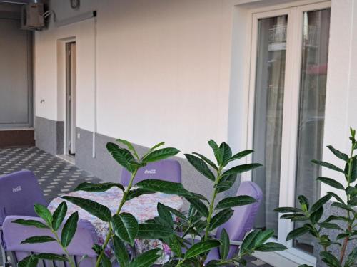 Apartman Iko Cista Provo in Cista Provo