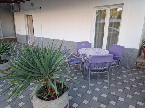 Apartman Iko Cista Provo in Cista Provo