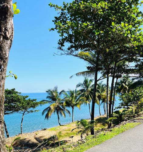 Surrounding environment, Olive Breeze in Runaway Bay