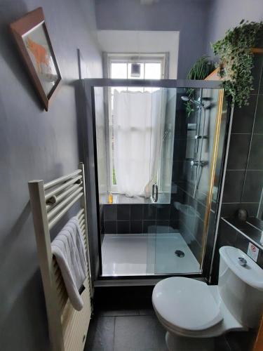 297 - Charming spacious 2 bedroom apartment in the center of Edinburgh's Old Town - image 7