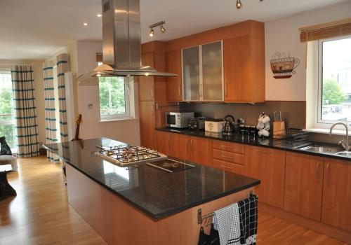 379 Luxury 3 bedroom city centre apartment with private parking and lovely views over Arthur's seat - image 4