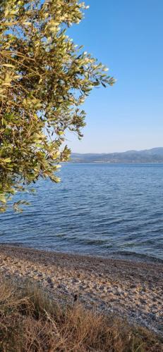 Villa on the beach, Eretria