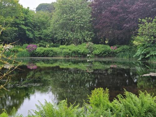 Uitzicht, Polgwedhen Lodge in Kea