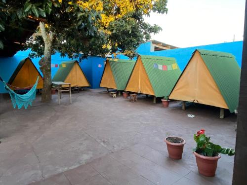 Ashram APG