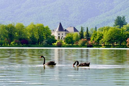 Lopota Lake Resort & Spa