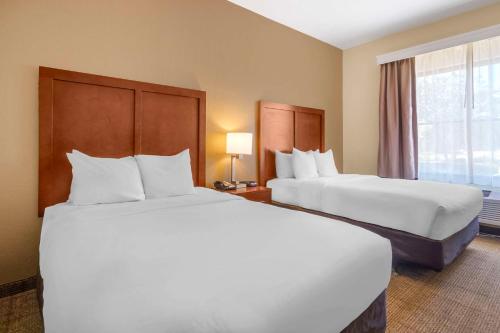 Comfort Inn & Suites Northeast - Gateway in St Petersburg, USA