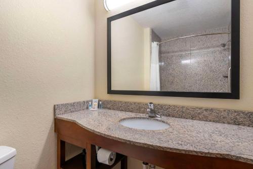 Comfort Inn & Suites Northeast - Gateway - image 11