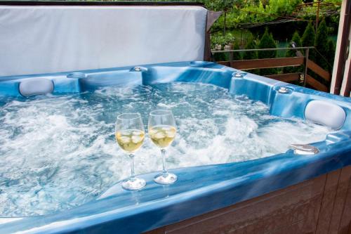 Kalina i Sokol spa in Momin Prohod