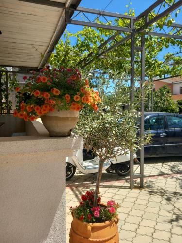 Vila Nina - image 4