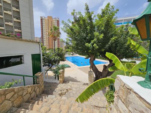 Apartamento Girasol 4 IF Benidorm 1