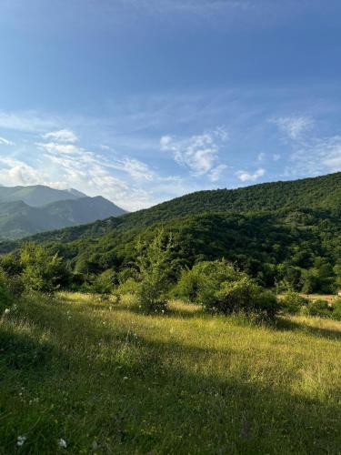 Oğuz rayon,Baş Daşağıl kəndi