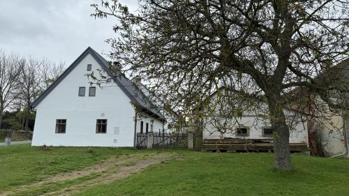Semtěš 5, Pšov (фото 2)