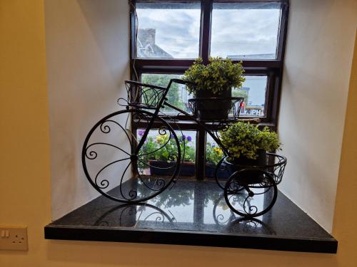 The Nu Place Suite – Tralee
