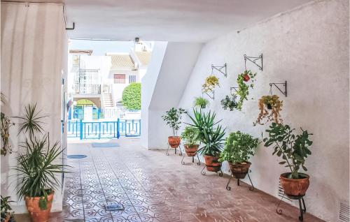 Pemandangan luar, Awesome Apartment In Torrevieja in El Chaparral