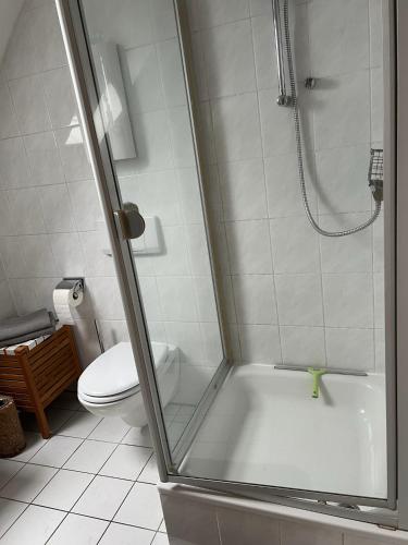 Gemütliche helle Dach-Wohnung in Frankfurt, Frankfurt/Main (photo 11)