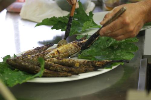 Agriturismo La Barena